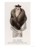 Fox Collar Very Smart and Fashionable Giclee Print