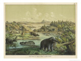 Animals and Plants of the Tertiary Era in Europe Giclée-Druck von Ferdinand Von Hochstetter
