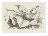 The Snap-Dragon-Fly Lámina giclée por John Tenniel The Snap-Dragon-Fly Lámina giclée por John Tenniel