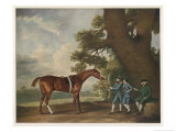 Great-Grandson of "Darley Arabian" Raced 1769-1770 in 18 Races All of Which He Won Giclee Print by George Stubbs