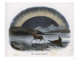 Traveller in a Reindeer Sleigh Sees a Spectacular Aurora Over the Northern Ice Giclee Print by J.w. Whimper