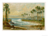 Palmyra Palms Provide Little Shade on a Sri Lanka Beach Giclée-Druck von Von Konigsbrunn 