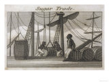 Men at Bristol Unloading Sugar from the West Indies Giclee Print