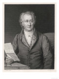 Johann Wolfgang Von Goethe German Writer and Scientist reproduction procédé giclée