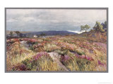Dorset Scenery: Heath at Lytchett Minster Giclee Print by Frederick Whitehead Dorset Scenery: Heath at Lytchett Minster Giclee Print by Frederick Whitehead