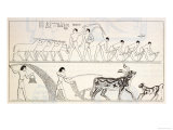 Ancient Egypt Farming Giclee Print