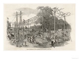 Building in Progress in Hyde Park Giclee Print