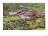 Cadbury's from Above Giclee Print