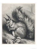Red Squirrel Eating a Nut Lámina giclée por Harrison Weir