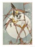Two Japanese Garden Warblers Among Rose Trees by Moonlight Giclee Print by Sugakudo