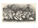 Money-Cowries Giclee Print by J.g. Wood's