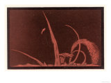 Spectacular Solar Flare Giclee Print Spectacular Solar Flare Giclee Print