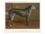 Dark Grey Deerhound Stares Thoughtfully into the Distance Giclee Print