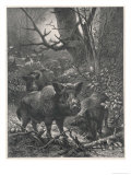 Herd of Wild Boar Wander Through the Woods Impressão giclée por Specht Herd of Wild Boar Wander Through the Woods Impressão giclée por Specht