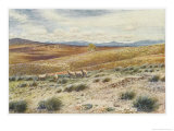 Scene in the Snowy Mountains Near Canberra Giclee Print by Percy F.s. Spence