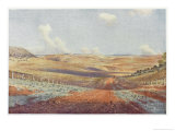 The Monaro Plains Giclee Print by Percy F.s. Spence
