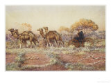 Surveyors in a Camel-Drawn Carriage Reconnoitre the Route for the Trans-Continental Railway Giclee Print by Percy F.s. Spence Surveyors in a Camel-Drawn Carriage Reconnoitre the Route for the Trans-Continental Railway Giclee Print by Percy F.s. Spence