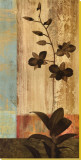 Numinous II Stretched Canvas Print by Chris Donovan