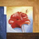 Passionate Poppies I Kunstdrucke von Alfred Gockel