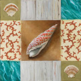 Shell Collage IV Posters by David Marrocco