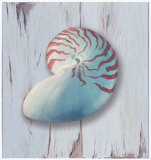 Distressed Shells II Poster por Robert Downs