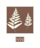Mocha Fern II Posters