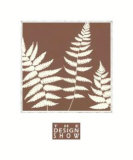 Mocha Fern IV Posters