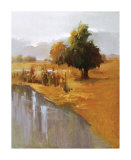 Sage Sensation Limited Edition by Vicki Mcmurry