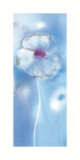 Himalayan Blue I Posters van Marilyn Robertson Himalayan Blue I Posters van Marilyn Robertson