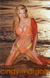 Cindy Margolis Poster