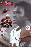 Arizona Cardinals- James Print