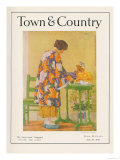 Town & Country, July 20th, 1917 Posters
