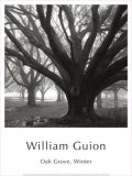 Oak Grove, Winter Posters par William Guion
