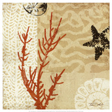 Coral Impressions I Prints by Tandi Venter