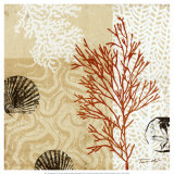 Coral Impressions II Plakater af Tandi Venter Coral Impressions II Plakater af Tandi Venter