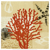 Coral Impressions III Posters par Tandi Venter