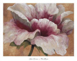 Pink Begonia Kunst af Maria Torróntegui