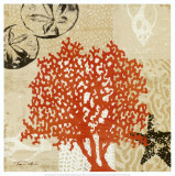 Coral Impressions IV Kunst af Tandi Venter Coral Impressions IV Kunst af Tandi Venter
