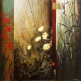 Rainforest Poppies Reprodukcje autor Don Li-Leger Rainforest Poppies Reprodukcje autor Don Li-Leger