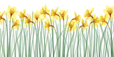 Floral Delight I Prints by Jim Wehtje