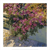 Steps and Summer Flowers Poster par Philip Craig