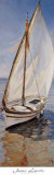 White Shadow Pósters por Jaume Laporta