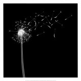 Into the Night II Prints by Jim Wehtje