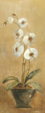 Orchids in Bronze Bowl I Kunst af Silvia Vassileva