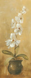 Orchids in Bronze Bowl II Posters par Silvia Vassileva