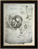 The Human Foetus in the Womb, Facsimile Copy Art par Leonardo da Vinci 