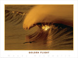 Golden Flight Art by Woody Woodworth