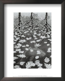 Three Worlds Prints by M. C. Escher