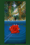 Rainforest Benefit Affiches