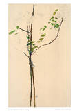 Young Tree Reproductions pour les collectionneurs par Egon Schiele